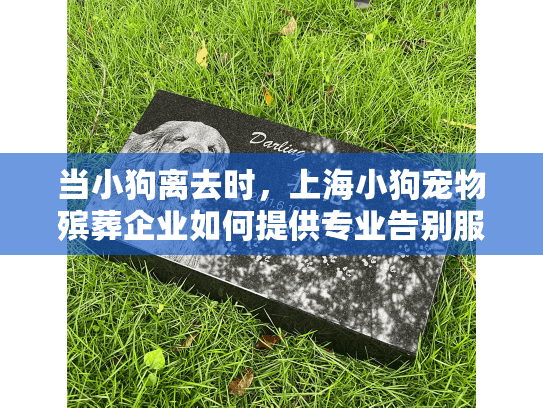 当小狗离去时，上海小狗宠物殡葬企业如何提供专业告别服务？