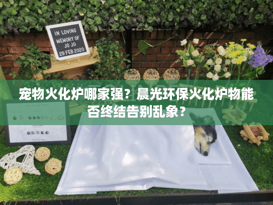 宠物火化炉哪家强？晨光环保火化炉物能否终结告别乱象？
