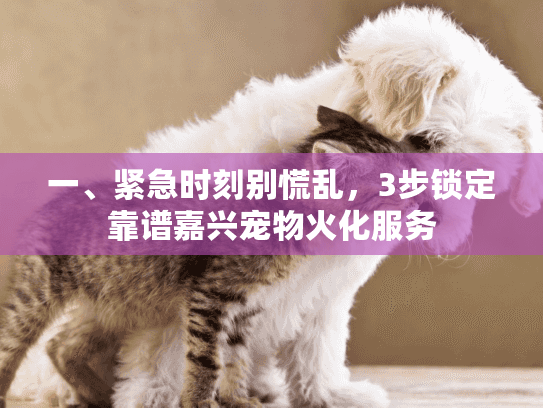一、紧急时刻别慌乱，3步锁定靠谱嘉兴宠物火化服务