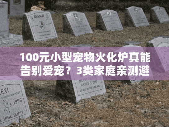 100元小型宠物火化炉真能告别爱宠？3类家庭亲测避坑指南