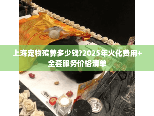 上海宠物殡葬多少钱?2025年火化费用+全套服务价格清单