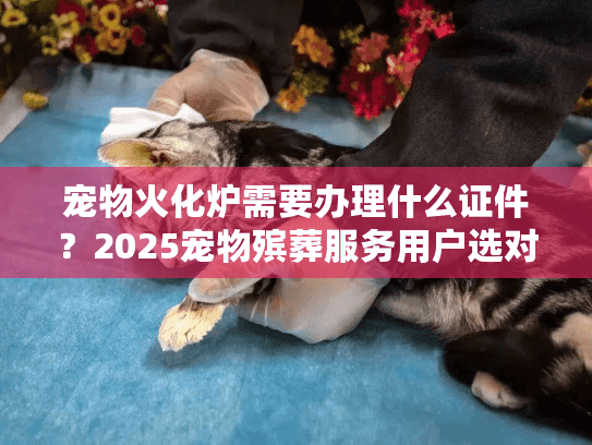 宠物火化炉需要办理什么证件?2025宠物殡葬服务用户选对避坑指南 宠物火化炉需要办理什么证件?2025宠物殡葬服务用户选对避坑指南
