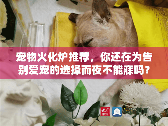 宠物火化炉推荐，你还在为告别爱宠的选择而夜不能寐吗？