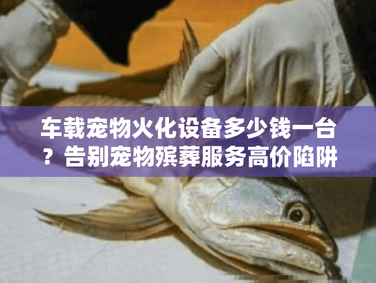 车载宠物火化设备多少钱一台？告别宠物殡葬服务高价陷阱