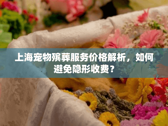 上海宠物殡葬服务价格解析，如何避免隐形收费？