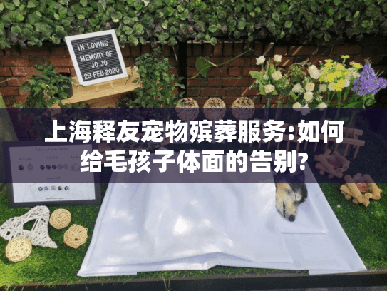上海释友宠物殡葬服务:如何给毛孩子体面的告别?