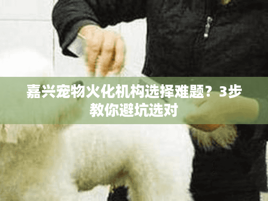 嘉兴宠物火化机构选择难题？3步教你避坑选对