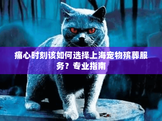 痛心时刻该如何选择上海宠物殡葬服务？专业指南