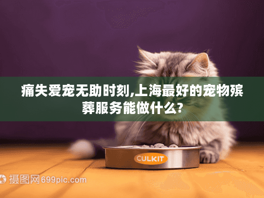 痛失爱宠无助时刻,上海最好的宠物殡葬服务能做什么?