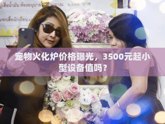 宠物火化炉价格曝光，3500元起小型设备值吗？