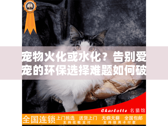 宠物火化或水化？告别爱宠的环保选择难题如何破？