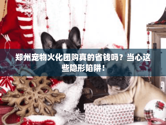 郑州宠物火化团购真的省钱吗?当心这些隐形陷阱! 郑州宠物火化团购真的省钱吗?当心这些隐形陷阱!