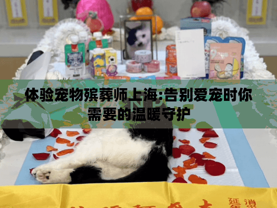 体验宠物殡葬师上海:告别爱宠时你需要的温暖守护