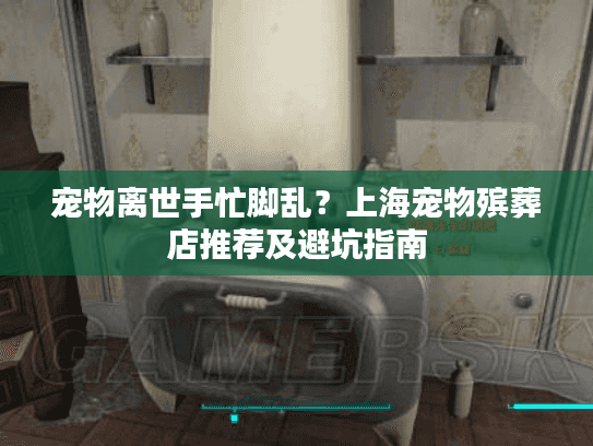 宠物离世手忙脚乱？上海宠物殡葬店推荐及避坑指南