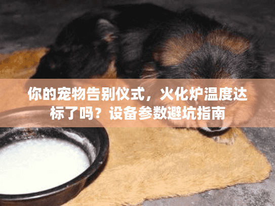 你的宠物告别仪式，火化炉温度达标了吗？设备参数避坑指南