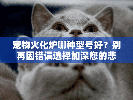 宠物火化炉哪种型号好？别再因错误选择加深您的悲痛！独立首行，字符数，18