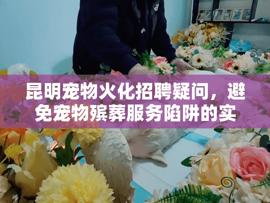 昆明宠物火化招聘疑问，避免宠物殡葬服务陷阱的实用指南