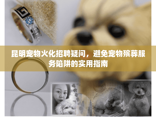 昆明宠物火化招聘疑问，避免宠物殡葬服务陷阱的实用指南