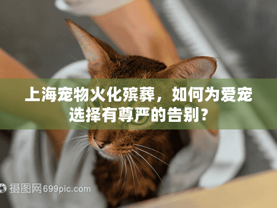 上海宠物火化殡葬，如何为爱宠选择有尊严的告别？