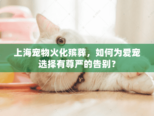 上海宠物火化殡葬，如何为爱宠选择有尊严的告别？