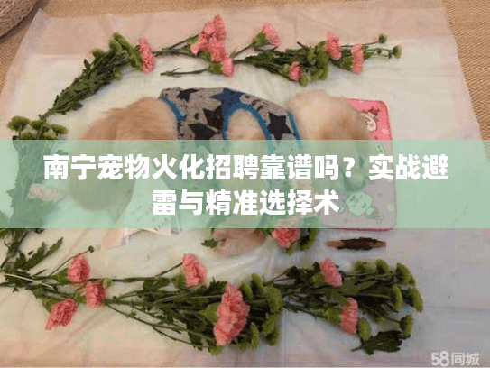 南宁宠物火化招聘靠谱吗？实战避雷与精准选择术