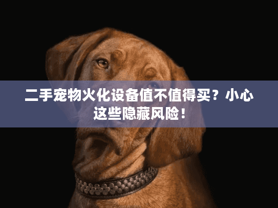 二手宠物火化设备值不值得买？小心这些隐藏风险！