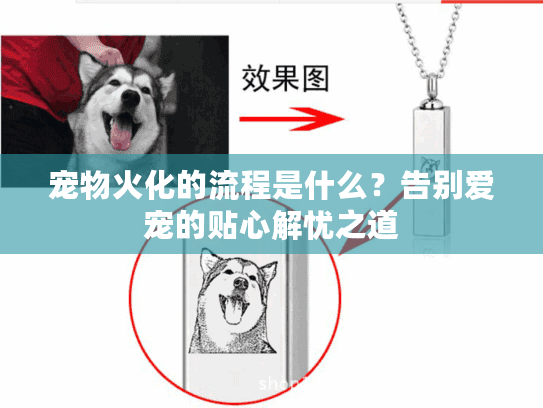 宠物火化的流程是什么？告别爱宠的贴心解忧之道