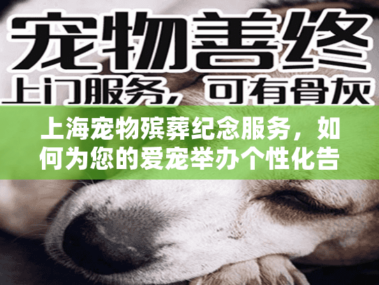 上海宠物殡葬纪念服务，如何为您的爱宠举办个性化告别仪式？