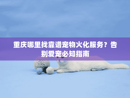 重庆哪里找靠谱宠物火化服务？告别爱宠必知指南