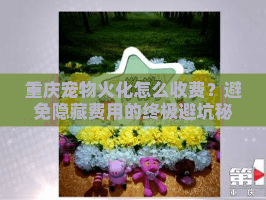 重庆宠物火化怎么收费?避免隐藏费用的终极避坑秘诀 重庆宠物火化怎么收费?避免隐藏费用的终极避坑秘诀