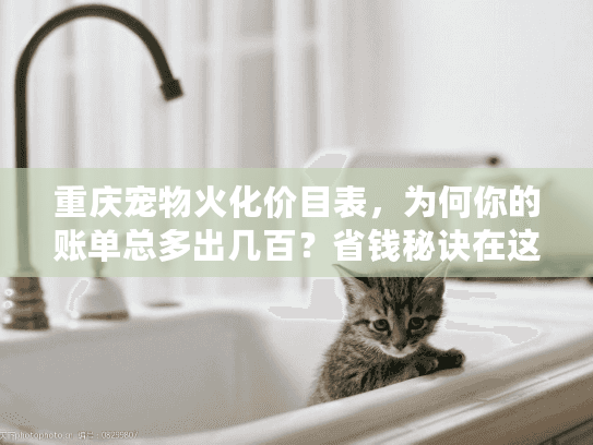 重庆宠物火化价目表，为何你的账单总多出几百？省钱秘诀在这！