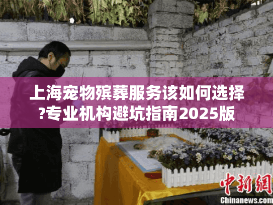 上海宠物殡葬服务该如何选择?专业机构避坑指南2025版