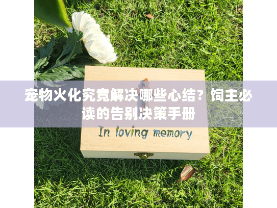 宠物火化究竟解决哪些心结？饲主必读的告别决策手册