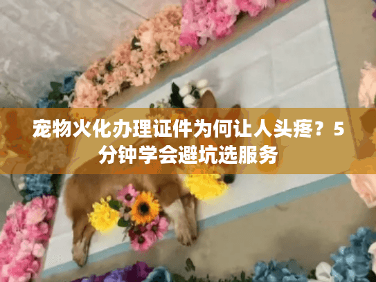宠物火化办理证件为何让人头疼？5分钟学会避坑选服务