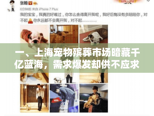 一、上海宠物殡葬市场暗藏千亿蓝海，需求爆发却供不应求