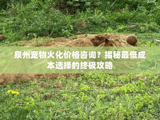泉州宠物火化价格咨询？揭秘最低成本选择的终极攻略