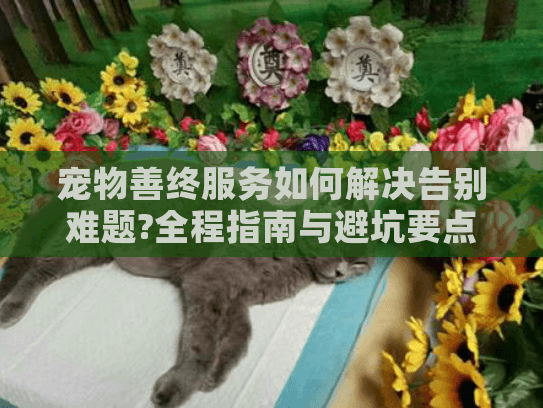 宠物善终服务如何解决告别难题?全程指南与避坑要点