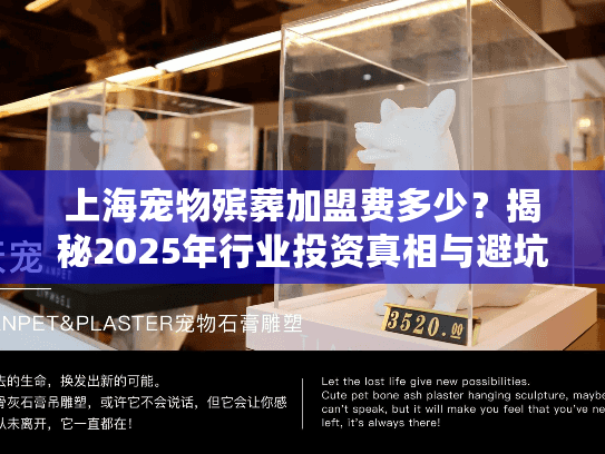 上海宠物殡葬加盟费多少？揭秘2025年行业投资真相与避坑指南