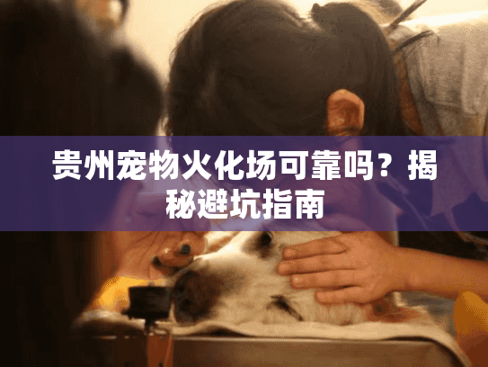 贵州宠物火化场可靠吗？揭秘避坑指南