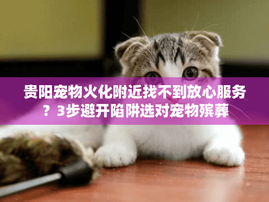 贵阳宠物火化附近找不到放心服务？3步避开陷阱选对宠物殡葬