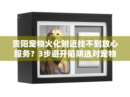 贵阳宠物火化附近找不到放心服务？3步避开陷阱选对宠物殡葬