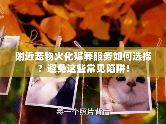 附近宠物火化殡葬服务如何选择？避免这些常见陷阱！