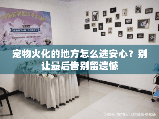宠物火化的地方怎么选安心？别让最后告别留遗憾