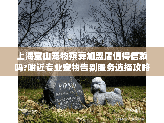 上海宝山宠物殡葬加盟店值得信赖吗?附近专业宠物告别服务选择攻略