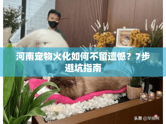 河南宠物火化如何不留遗憾？7步避坑指南