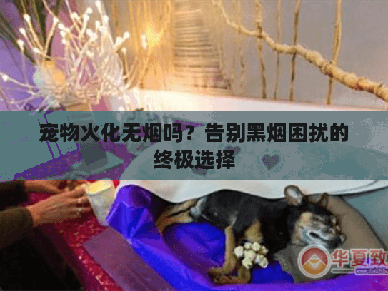 宠物火化无烟吗？告别黑烟困扰的终极选择