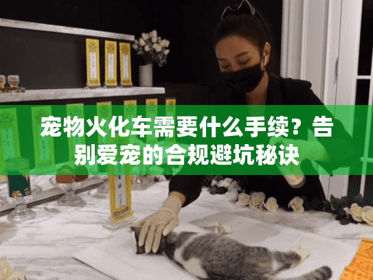 宠物火化车需要什么手续？告别爱宠的合规避坑秘诀
