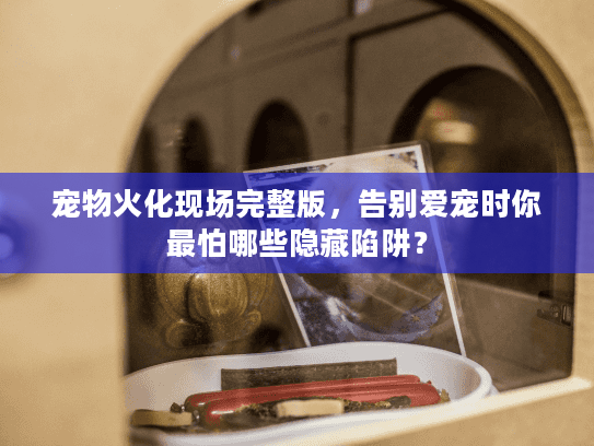 宠物火化现场完整版，告别爱宠时你最怕哪些隐藏陷阱？