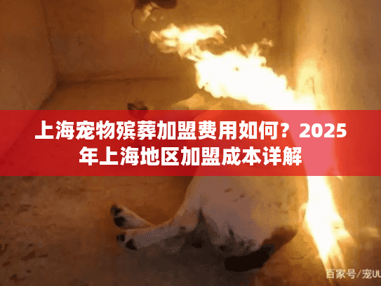 上海宠物殡葬加盟费用如何？2025年上海地区加盟成本详解