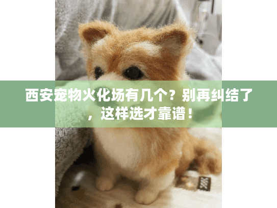 西安宠物火化场有几个?别再纠结了,这样选才靠谱! 西安宠物火化场有几个?别再纠结了,这样选才靠谱!